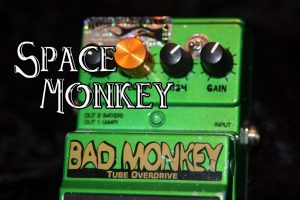 Digitech Bad Monkey